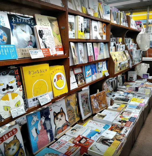 姉川書店（にゃんこ堂） 神保町の大型書店 店内